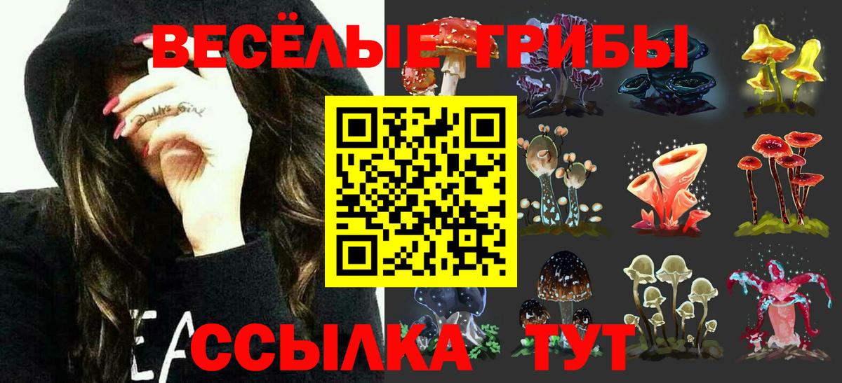Галлюциногенные грибы Magic Shrooms  Вход с VPN  Зеленокумск  Псилоцибиновые грибы прущие грибы 